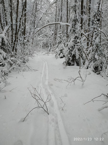 Alone ski path